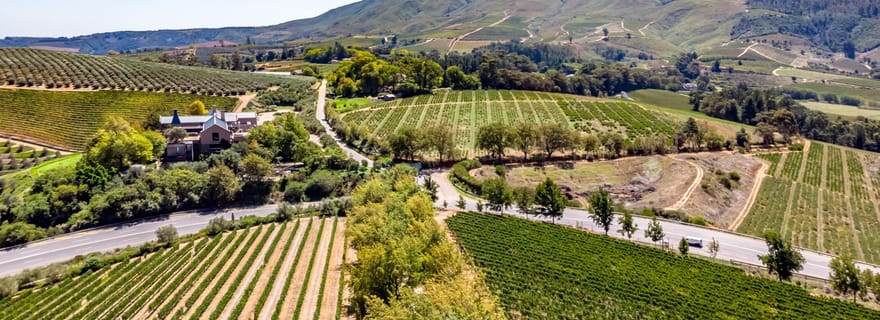 Stellenbosch : promenade œnologique avec 8 dégustations de vin et collations