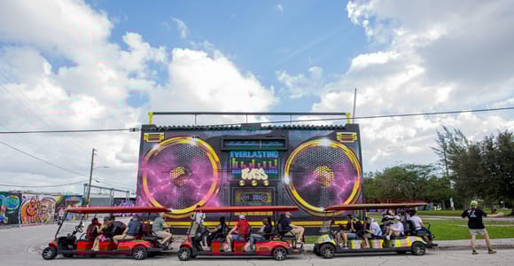 Wynwood Art District 1-stündige Wynwood Buggies Street Art Tour