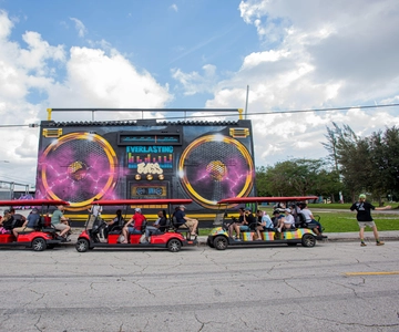 Wynwood Art District 1-Hour Wynwood Buggies Street Art Tour