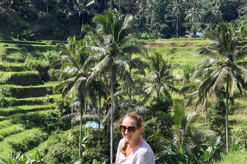 乌布猴林、梯田、秋千、寺庙和瀑布乌布猴林、水稻梯田、秋千、寺庙和瀑布