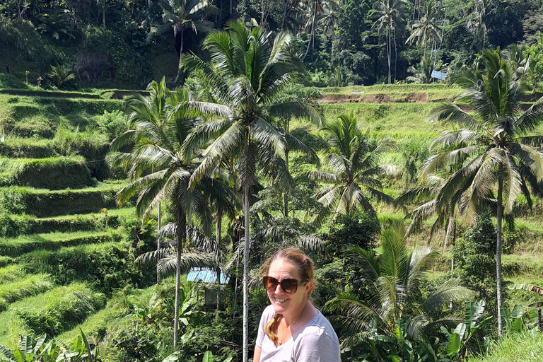 乌布猴林、梯田、秋千、寺庙和瀑布乌布猴林、水稻梯田、秋千、寺庙和瀑布