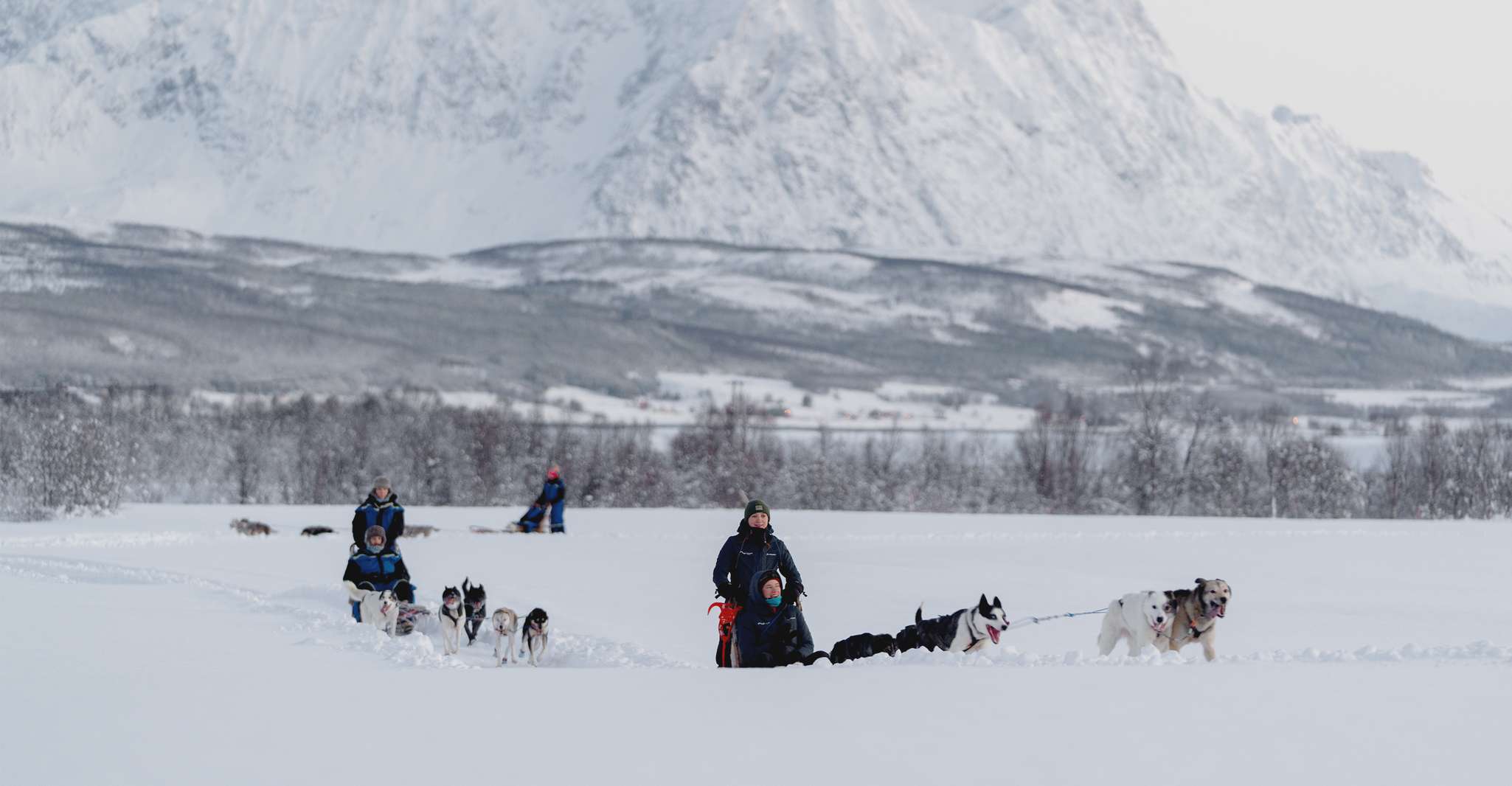 De Tromsø, aventure de traîneau de chien amusant et facile - Hizvo