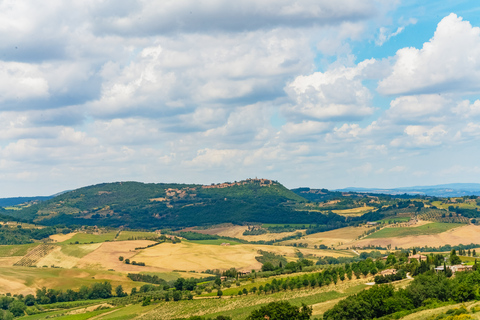 Vanuit Rome: Hoogtepunten van Toscane Dagtrip met Lunch &amp; Wijnen