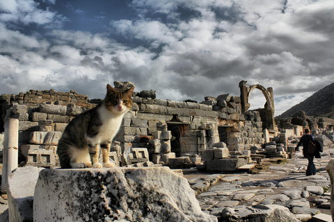 Izmir : Ephesus and Sirince Guided Tour