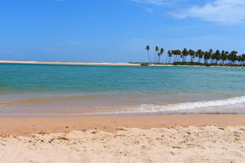 Salvador North Shore: Beach Hopping Tour to Praia do Forte