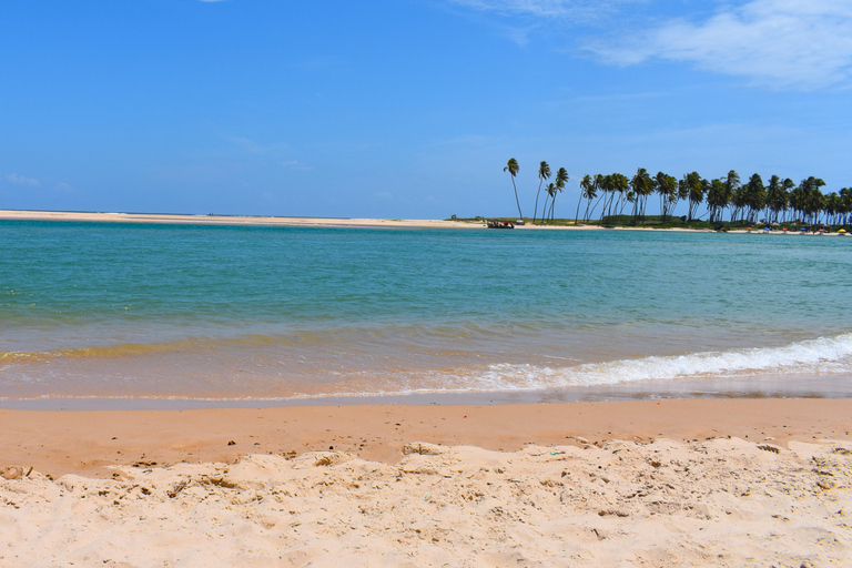 Salvador North Shore: Beach Hopping Tour to Praia do Forte