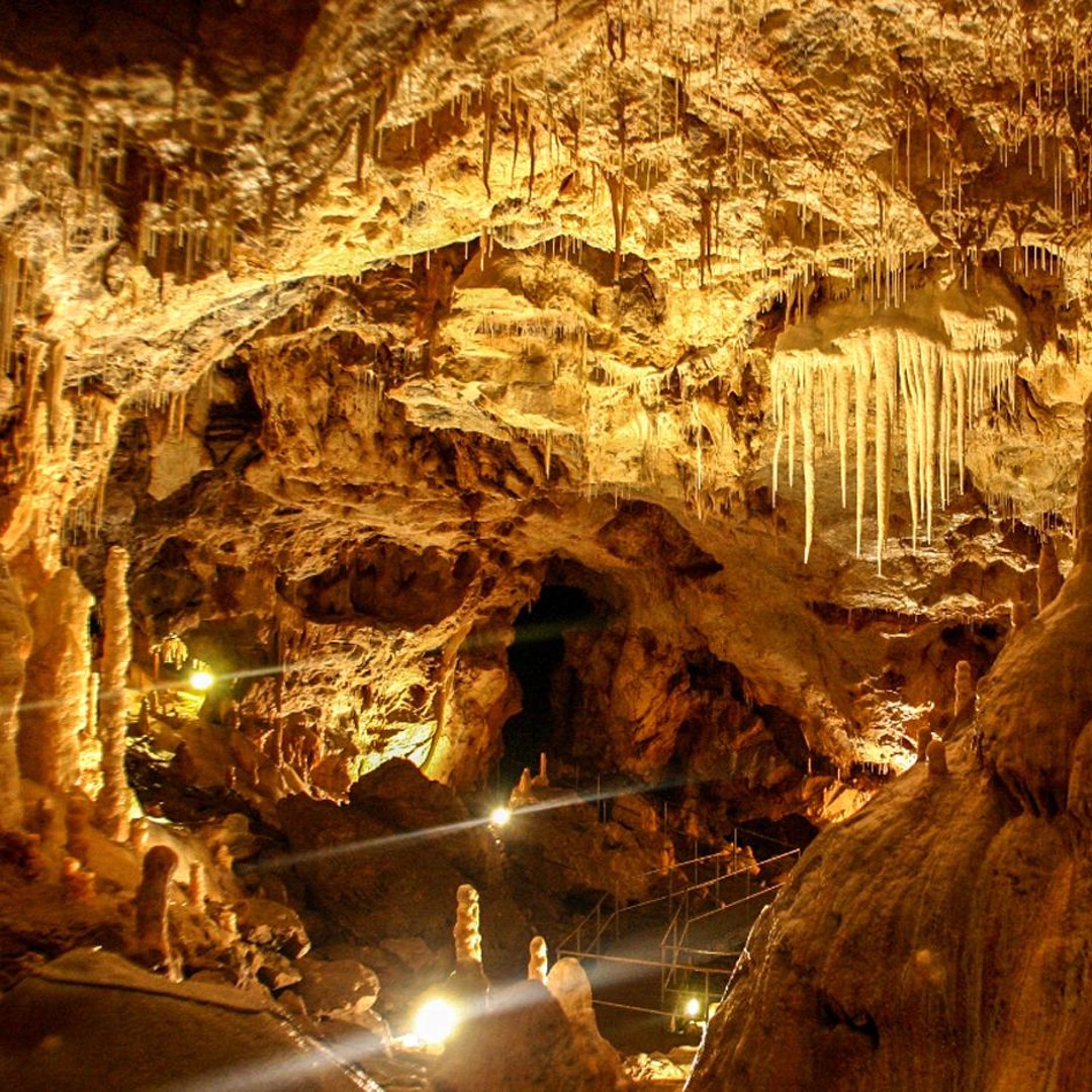 The Bear's cave: day airconditioned car tour from Oradea