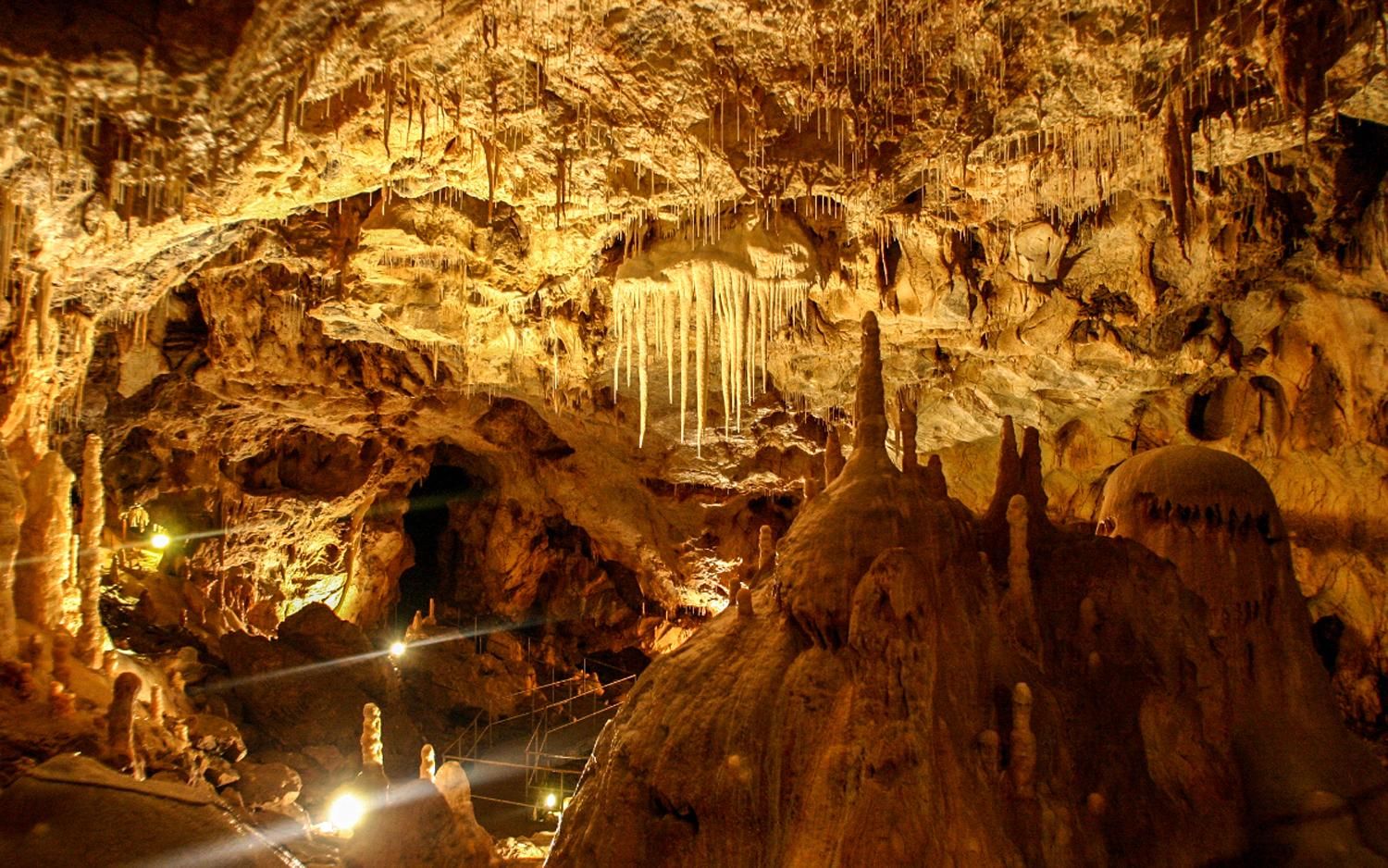 Die Bärenhöhle: 1-tägige Tour im klimatisierten Auto ab Oradea
