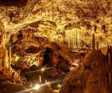 Björnens grotta: 1 dagstur med luftkonditionerad bil från Oradea