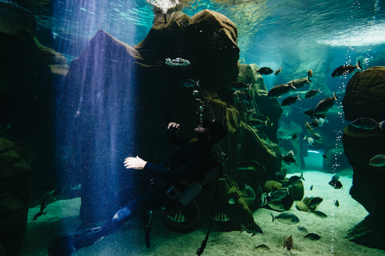 Heraklion Area: CRETAquarium Admission Ticket Skip-the-Line Admission Ticket