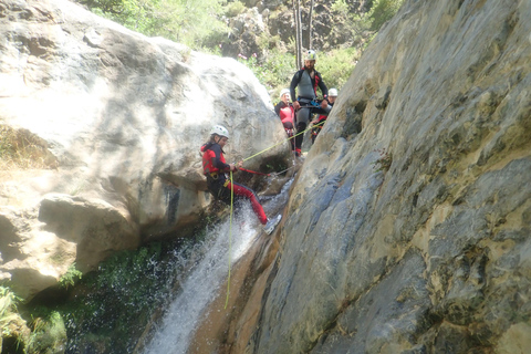 Granada & Malaga: Río Verde Canyon, Turquoise Water Jumps Private Tour