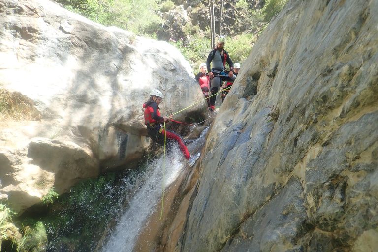 Granada & Malaga: Río Verde Canyon, Turquoise Water Jumps Private Tour