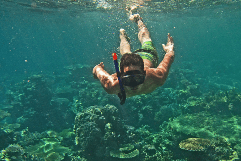 Coron: Öluffning med lunch och Twin Lagoon