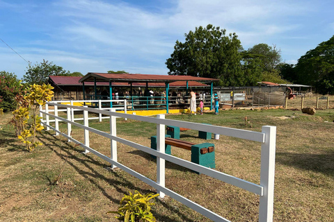 Los Santos, Panama: Wycieczka z przewodnikiem po Finca PamelPanama: Wycieczka z przewodnikiem po Finca Pamel