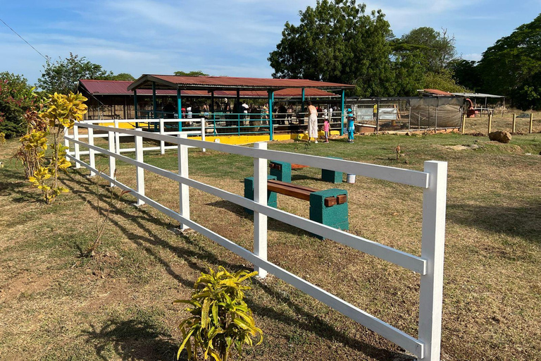 Los Santos, Panama: Wycieczka z przewodnikiem po Finca PamelPanama: Wycieczka z przewodnikiem po Finca Pamel