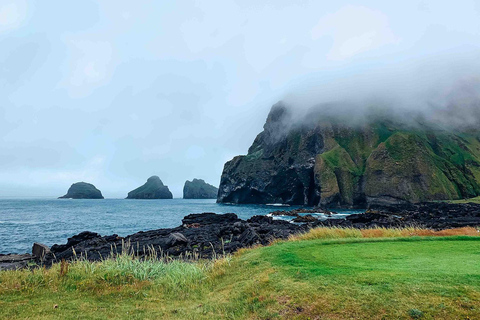 From Reykjavik: Puffin and Volcano Tour in Westman Islands