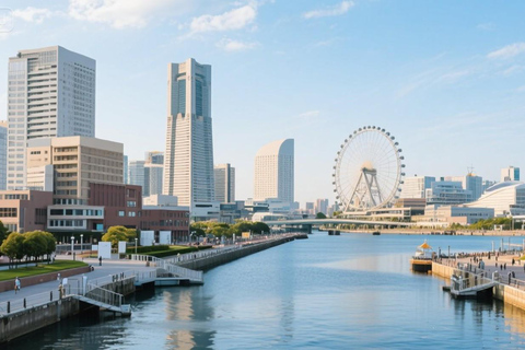 Narita Airport: Private One-Way Transfer to/from Yokohama Narita Airport to Yokohama(Port)