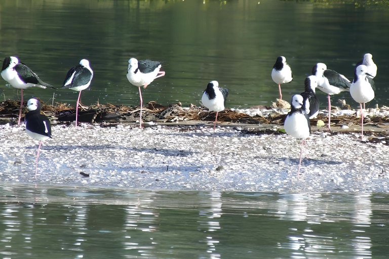 Okura kajaksafari op de rivier