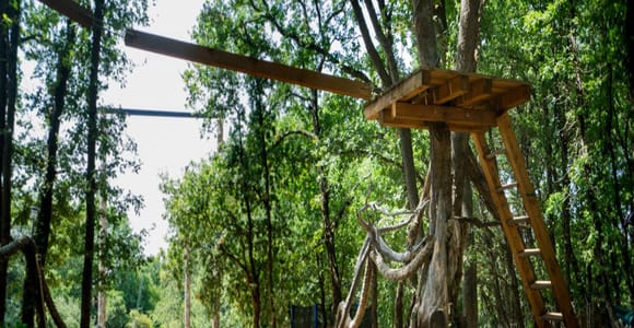 Adrenalinpark: Eintrittskarte mit Zipline und Schaukel
