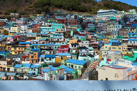 Busan: Small-Group Tour with Cable Car & Busan Tower Entry