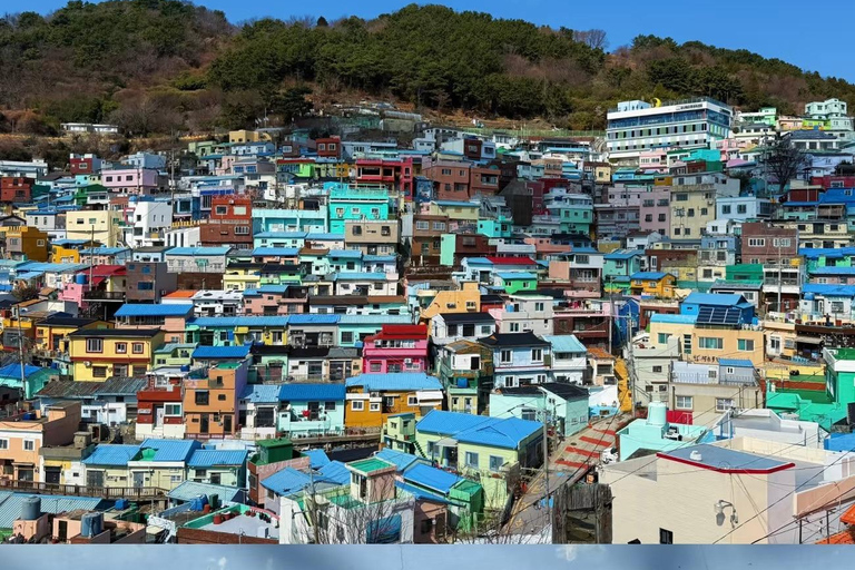 Busan: Small-Group Tour with Cable Car & Busan Tower Entry