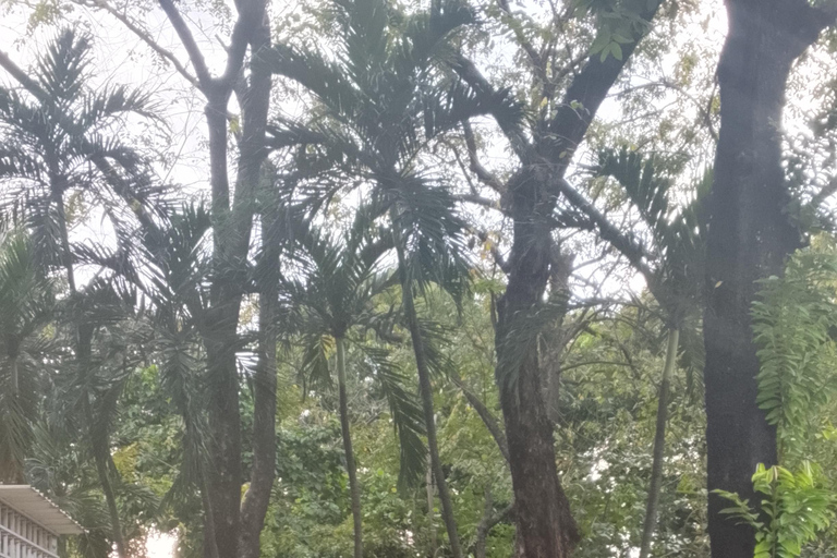 Manila: Fort Santiago Guided Tour