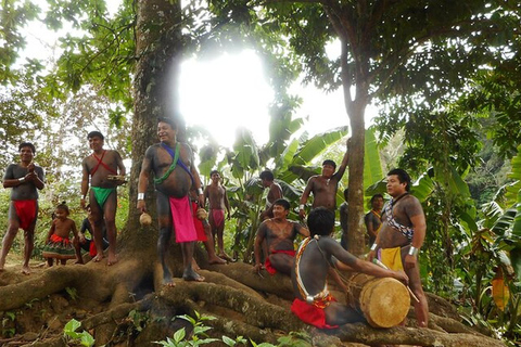 Panama stad: Dagsutflykt till Embera VillageEmbera dagstur för 3 vuxna