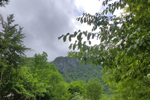 Tirana: Excursão de um dia aos Alpes Albaneses e ao vilarejo de Theth com almoço