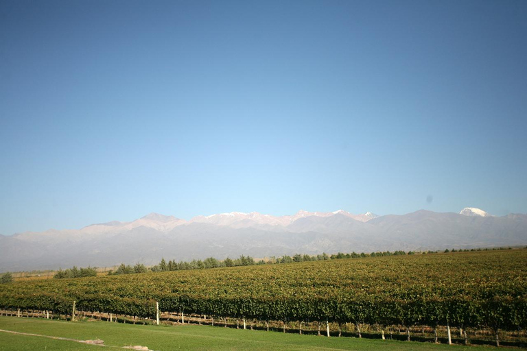 City Tour em Mendoza: Pontos de referência, parques e vistas panorâmicas