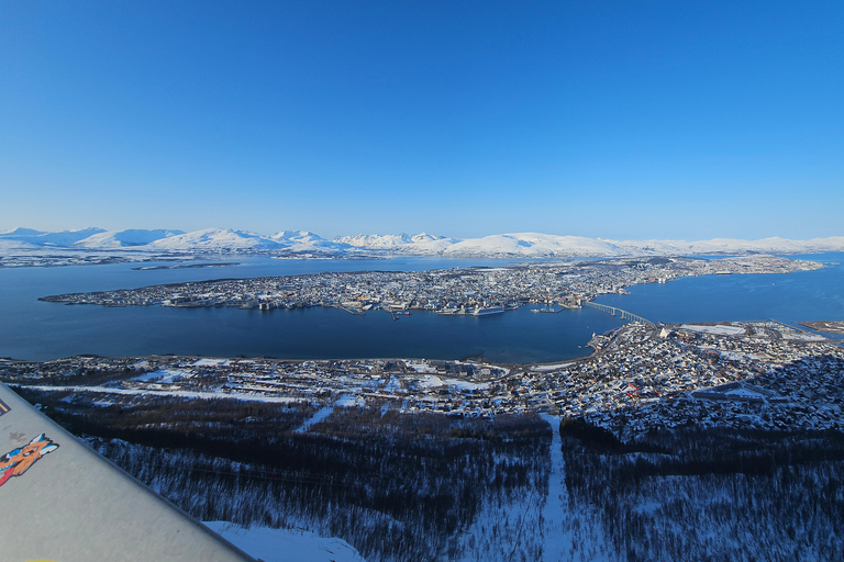 Tromsø: 7 hours Northern Lights tour