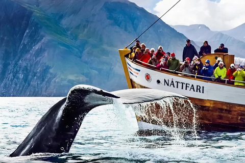 Akureyri: Lake Mývatn, GeoSea, & Whale Watching Tour