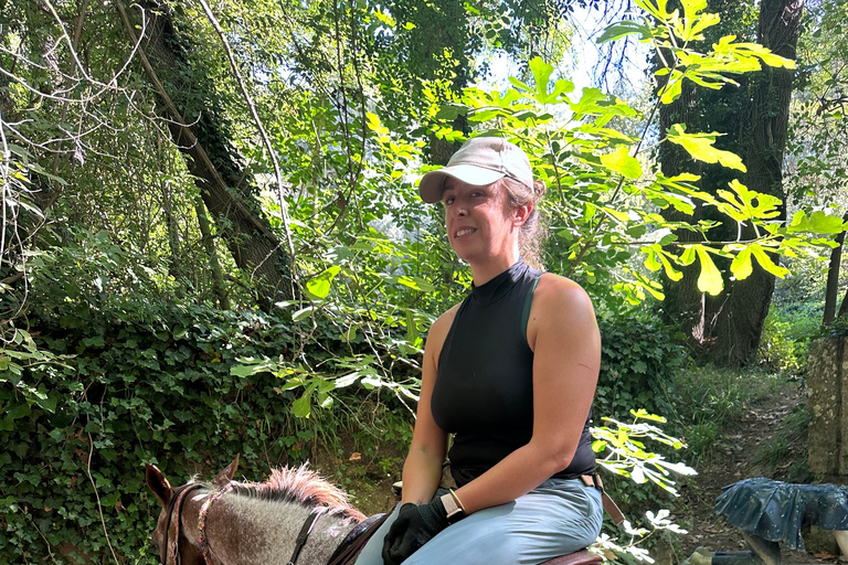Provence: 2-hour Western horseback riding tour, refreshing break in the river Provence: 2-Hour Western Horseback Riding Tour, Refreshing Break in the River