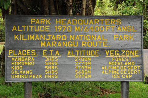 Daytrip to Mount Kilimanjaro