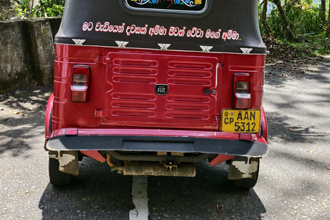 Kandy: Tuk-Tuk Sights, Culture, Shopping & Treatment