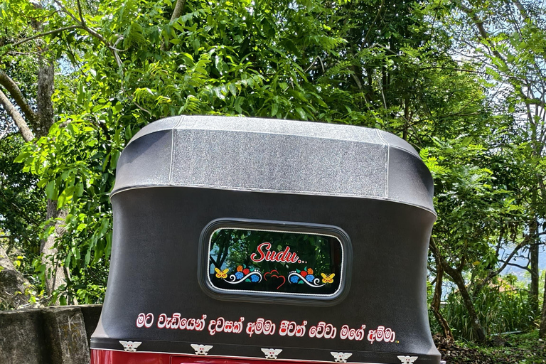 Kandy: Tuk-Tuk Sights, Culture, Shopping & Treatment