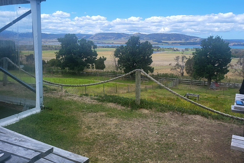 Cruzeiro - Excursão em terra para degustação de vinhos - Hobart