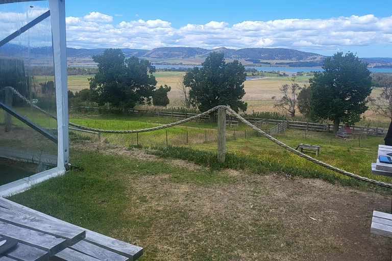 Cruzeiro - Excursão em terra para degustação de vinhos - Hobart