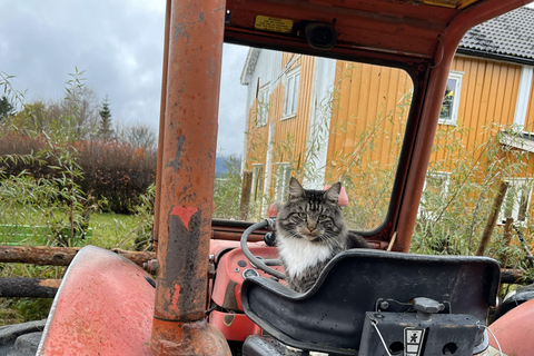 Historic Eidsvoll E-Bike Tour
