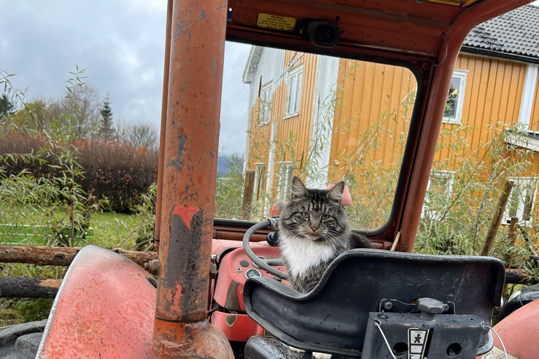 Historic Eidsvoll E-Bike Tour