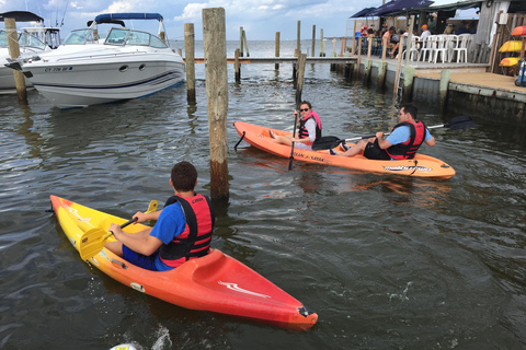 Key Largo: Mangrove Kayak Rental (Single or Double Kayaks)