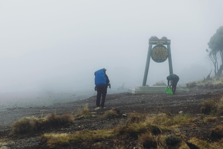 7 days Kilimanjaro Climbing Lemosho route package