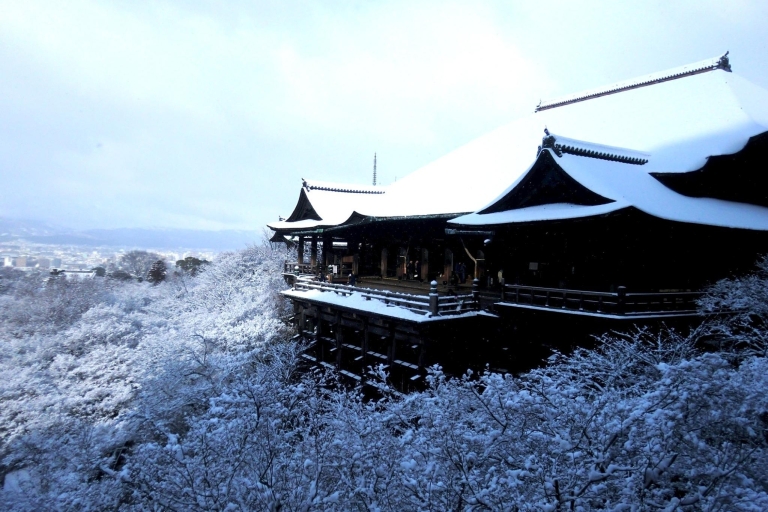 From Kyoto: Sagano Train Ride and Guided Kyoto Day Tour Tour with Beef Shabu Shabu Lunch