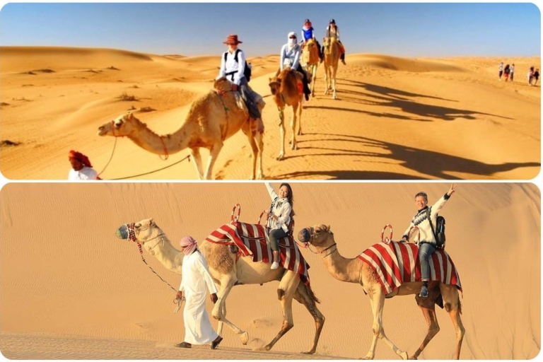 Vanuit Doha: Ervaar de bedoeïenen kamelen safari