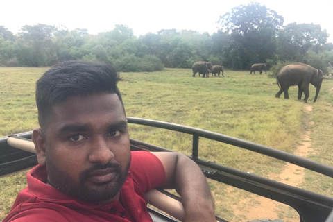 Safari i Yala nationalpark från Ella (+ Jeep)