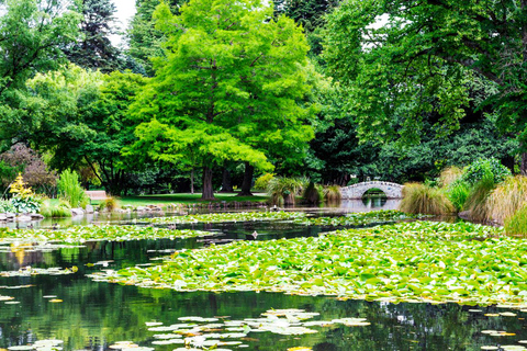 Queenstown vinterpromenad: Förtrollad semestermagi