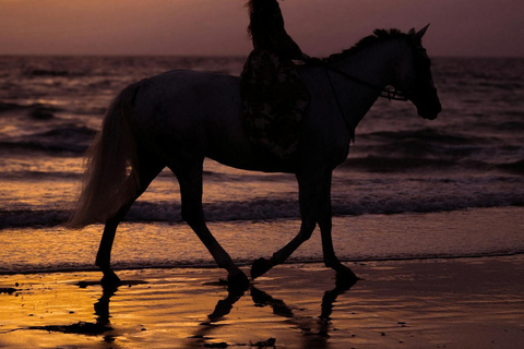 Saint Lucia: Sunset Horseback Ride & Ocean Swim Experience