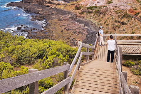 Melbourne: Mornington Peninsula Southern Coast Discovery