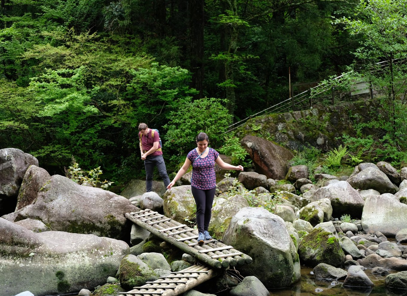 Hakone Hachiri: Old Tokaido Highway Hiking Halvdagstur