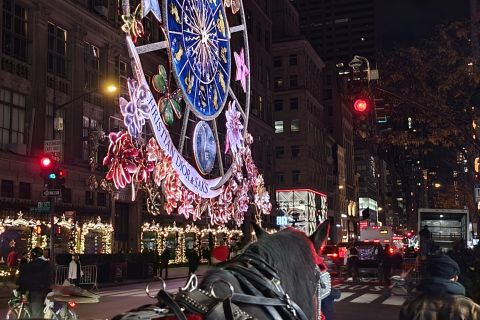 NYC: Passeio de carruagem a cavalo com luzes de Natal