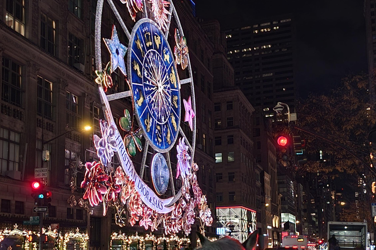 NYC: Christmas Lights Horse Carriage Ride